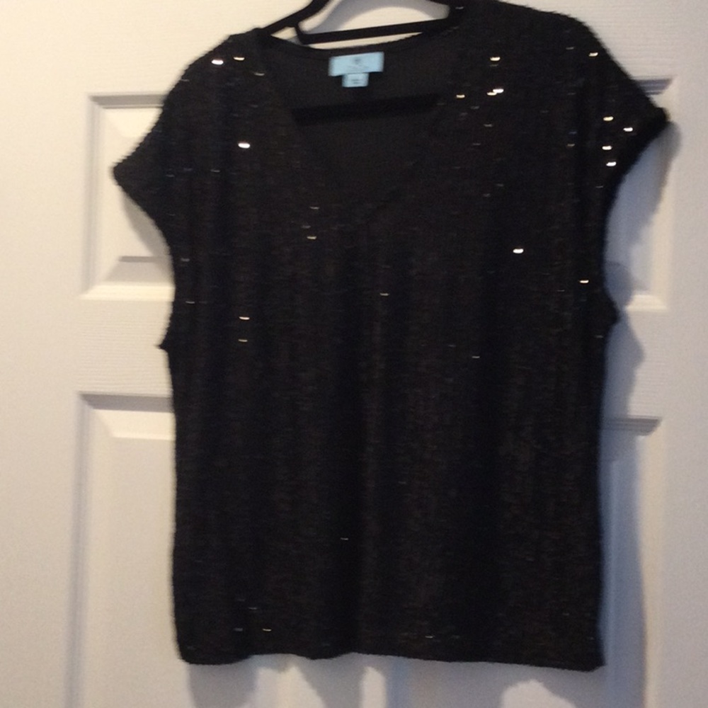 Cecelia Sequin Top